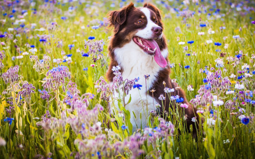 954536 (a): :2880x1800